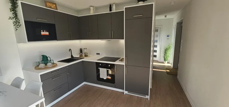 Moderne L-Küche in einem Tiny House der MONO-Serie von Compact Haus mit matten anthrazitfarbenen Fronten, weißer Arbeitsplatte und einer integrierten Mikrowelle.